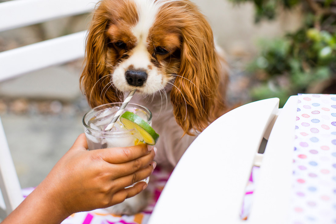 Summer_Drinks_Decorating_VELCRO®_Brand